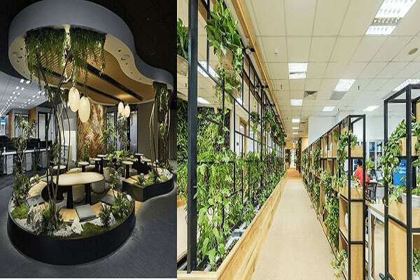 Văn phòng xanh mang nhiều lợi ích hơn thiết kế truyền thống